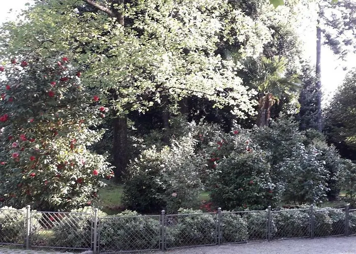 Guest house Studio Laura Icici